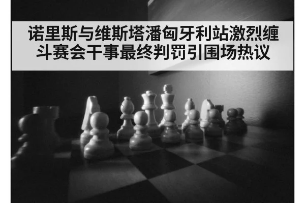 诺里斯与维斯塔潘匈牙利站激烈缠斗赛会干事最终判罚引围场热议